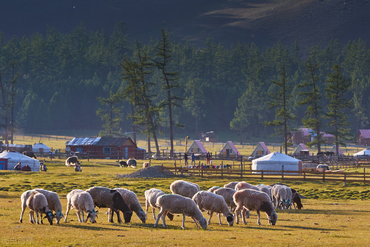蒙古族服饰冷知识,蒙古族冷知识大全