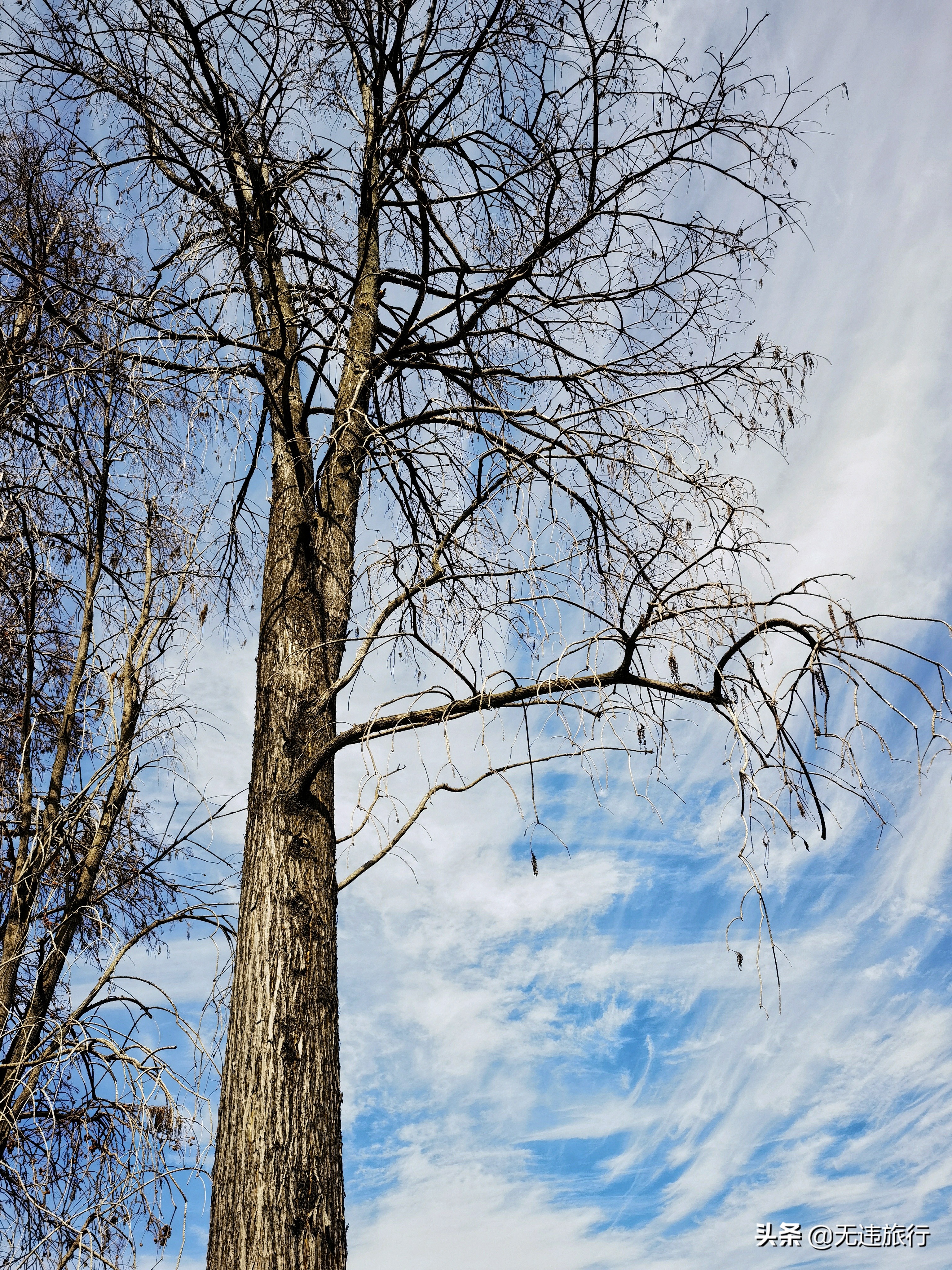 大理洱海龙龛码头看日出,大理洱海龙龛古渡风景