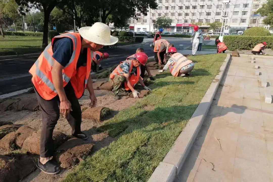 泰达足球场重启亚洲杯,泰达足球场回归首秀