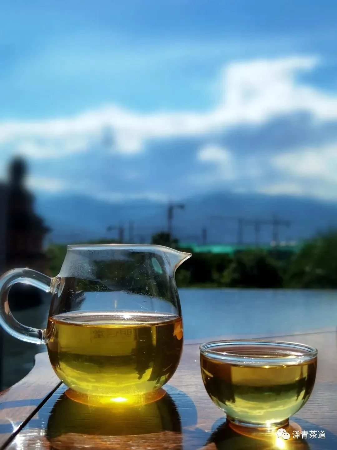 普洱茶各大山头的特性和口感图文,普洱茶老茶头的口感特点有哪些