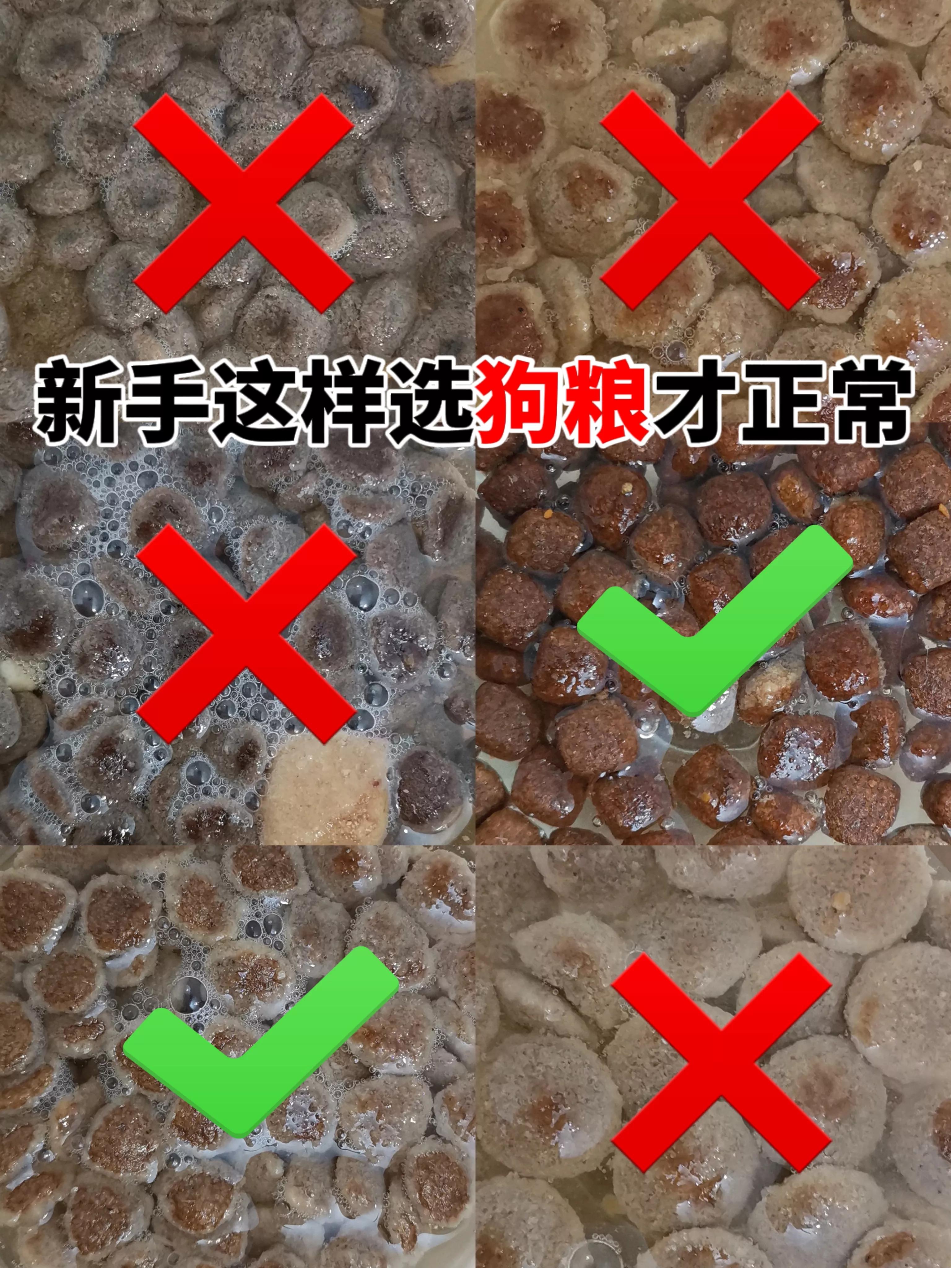 用水泡什么样的狗粮才是好狗粮,教你选择健康优质狗粮的方法
