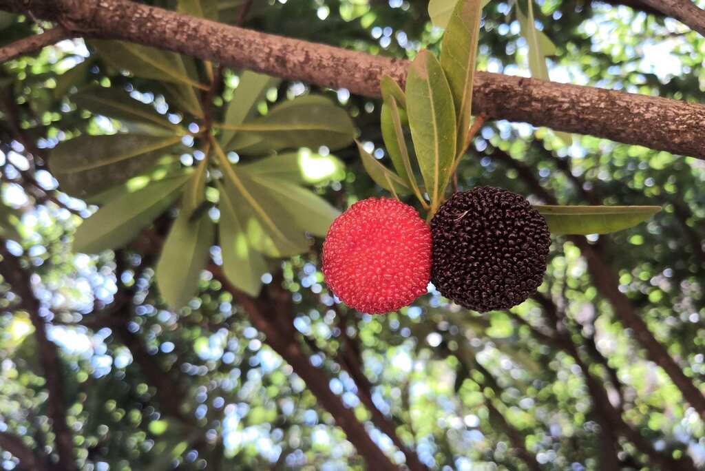 我的知乎首答，献给我大云南