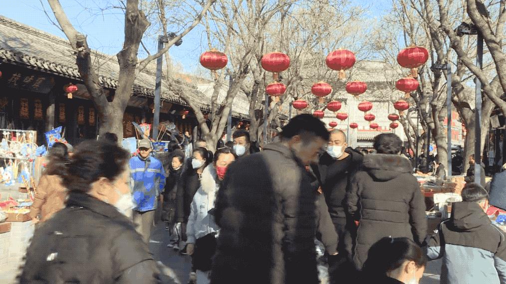 津城春暖花开时,观察春天的景象