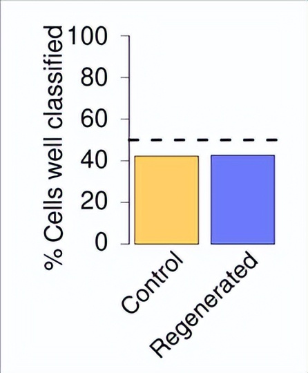甲壳类动物断肢能再生吗,甲壳类动物肢体再生