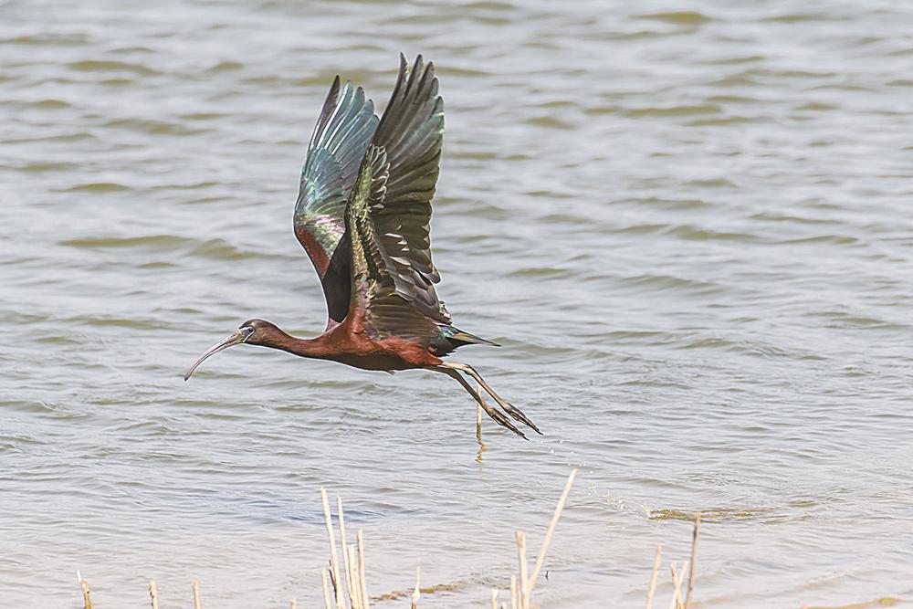 娌挎捣缁垮煄鐩愬煄,鐩愬煄娌挎捣缁垮煄