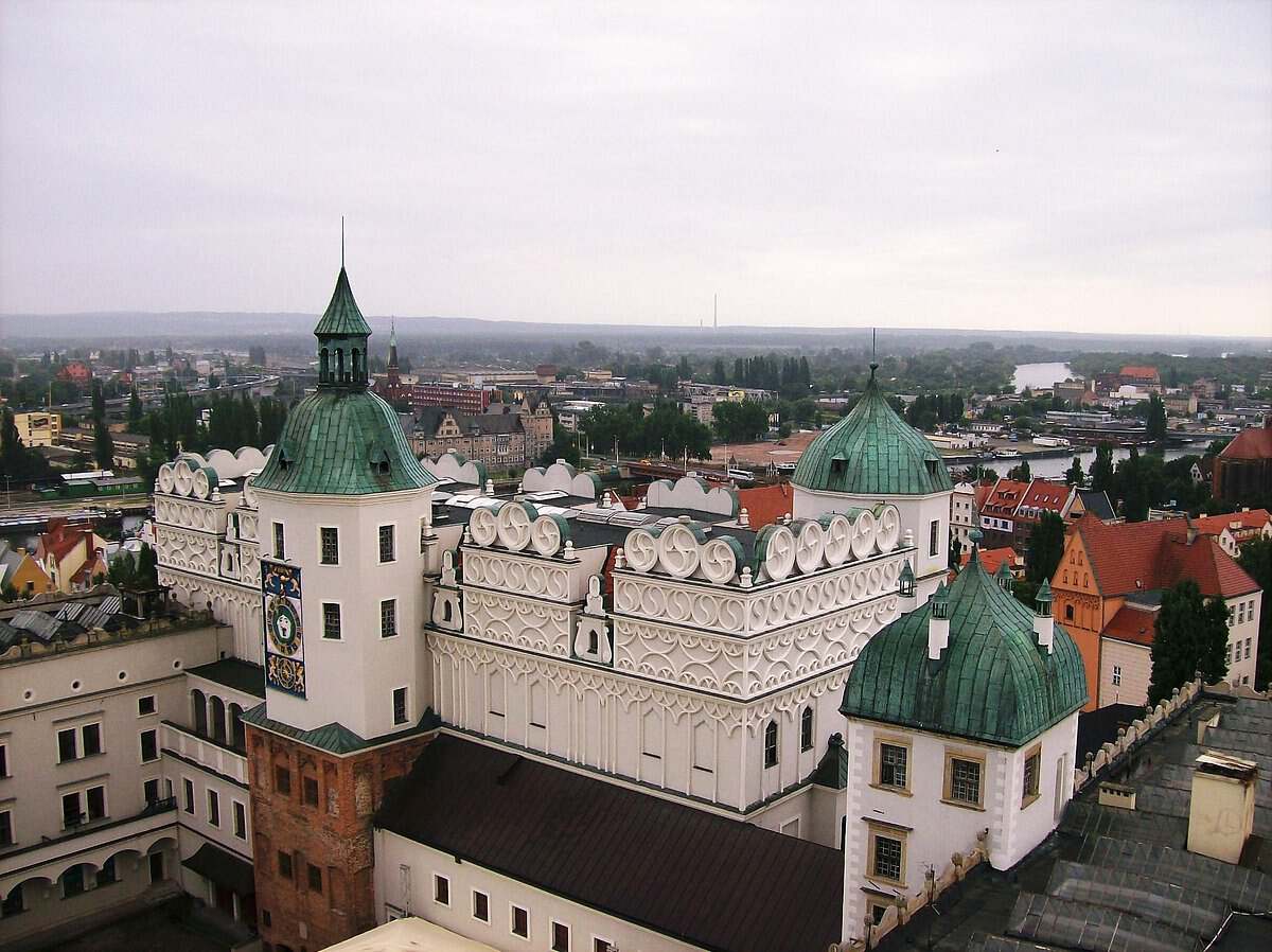 一只流浪的肥猫,波兰一流浪猫成5星旅游景点