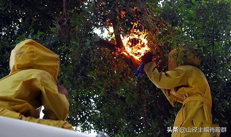 杨老说故事,杨老讲故事