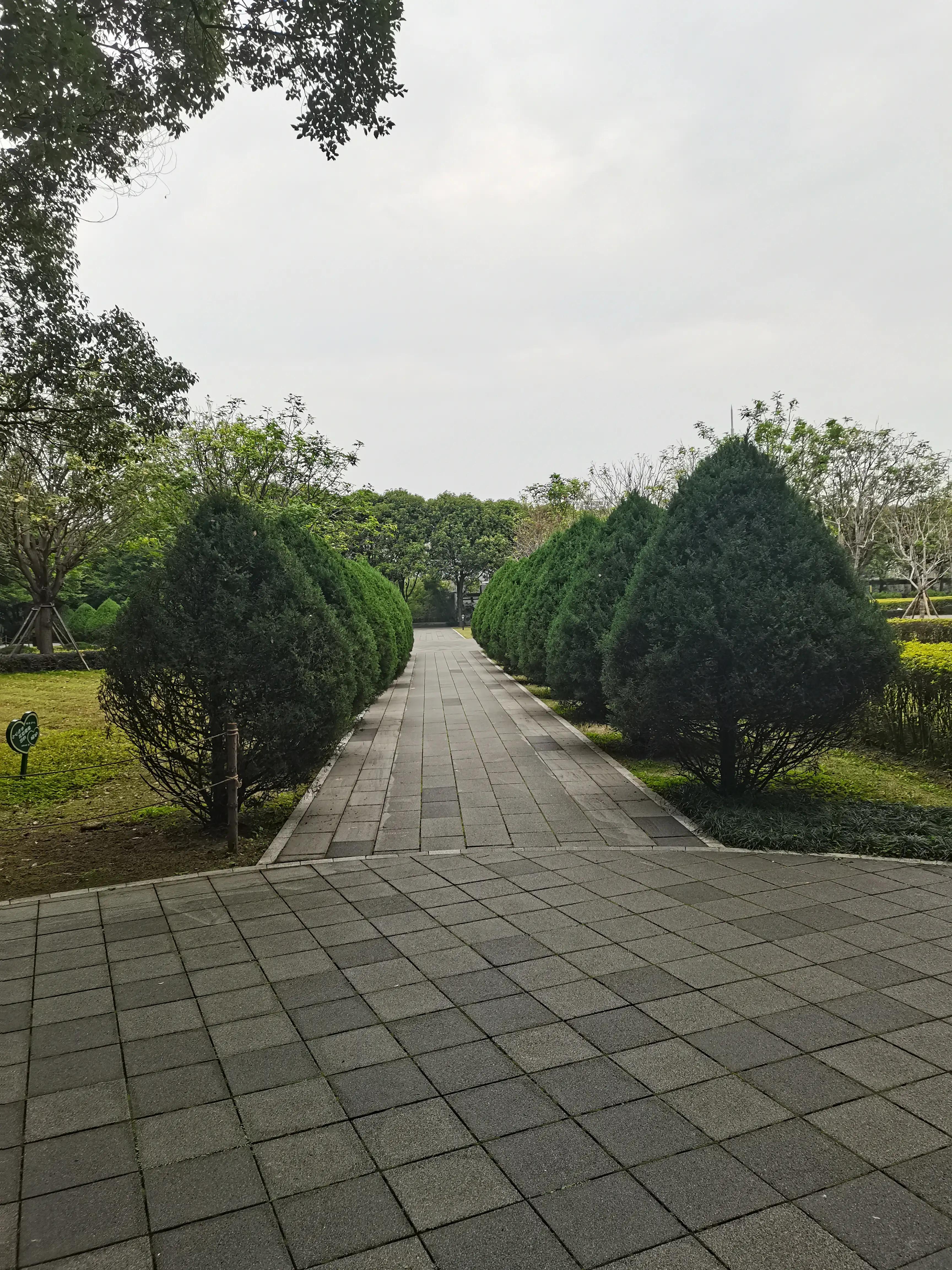 福州郁金香温泉公园,福州花海公园郁金香