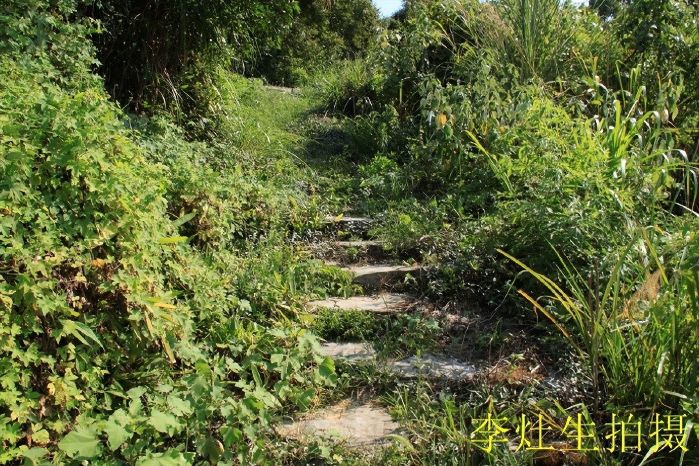 郴乐古道之水头江宜乐古道--广东省乐昌市庆云镇