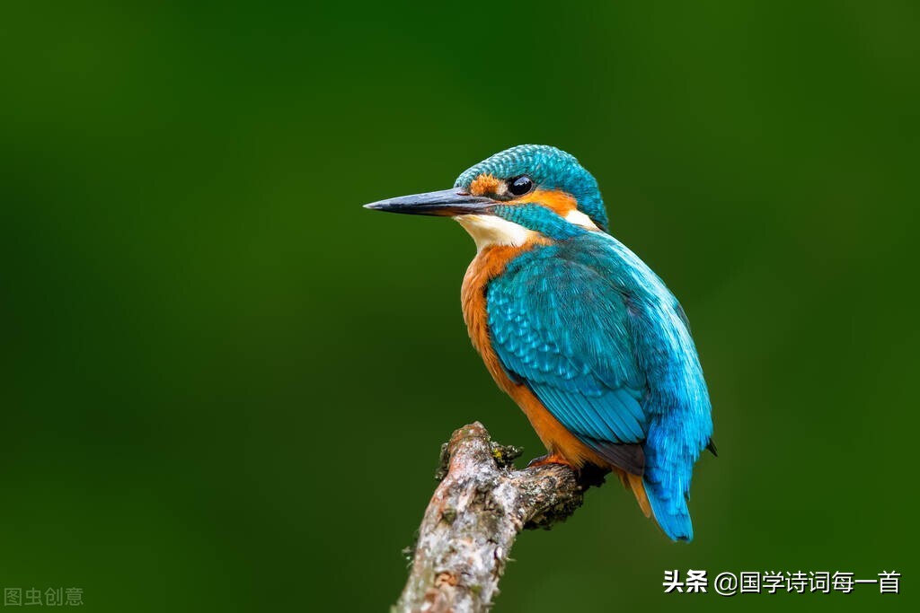 花字飞花令诗句大全1000句,蓝飞花令