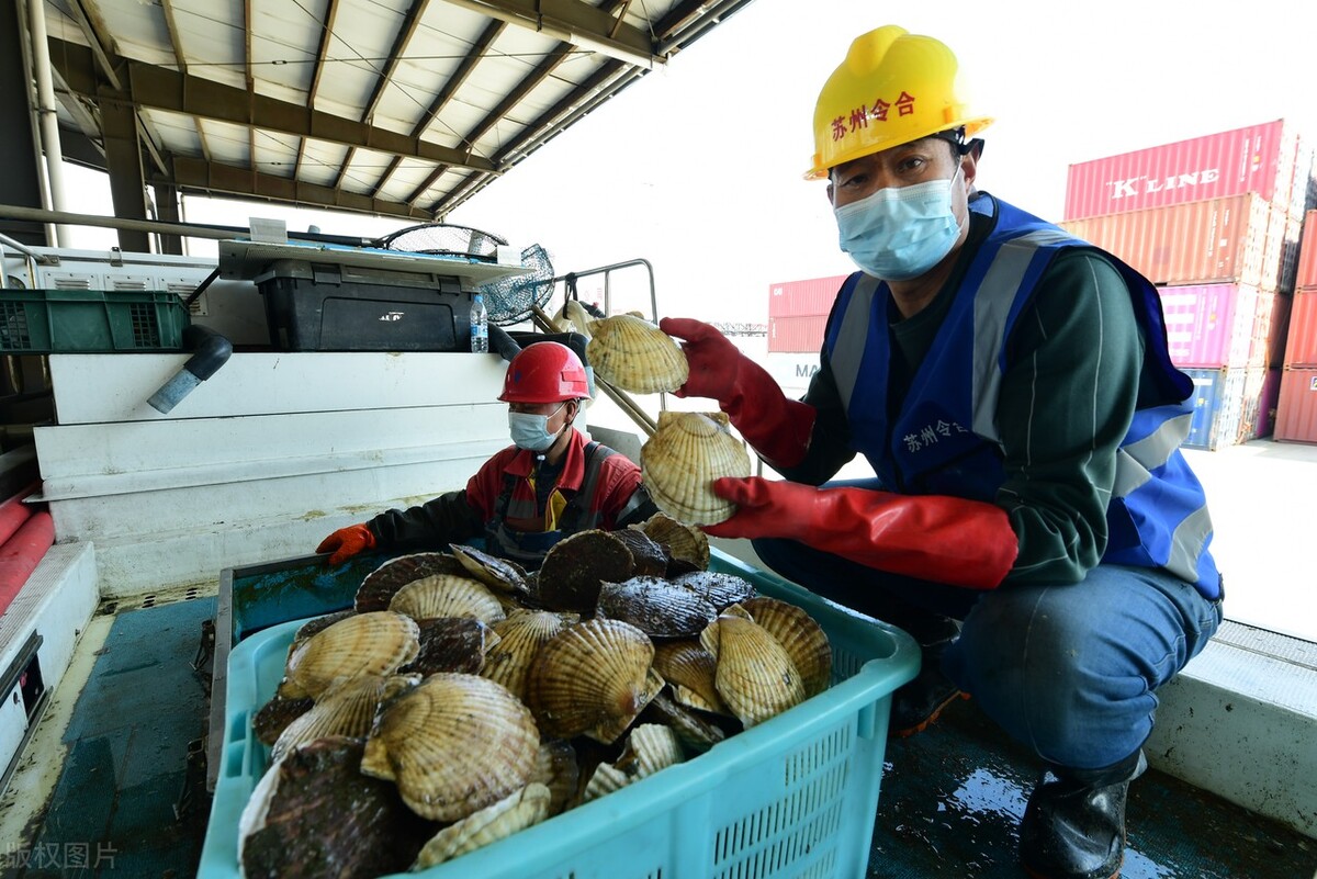 日本的海鲜会不会偷偷进入中国,日本海鲜进入中国市场了吗