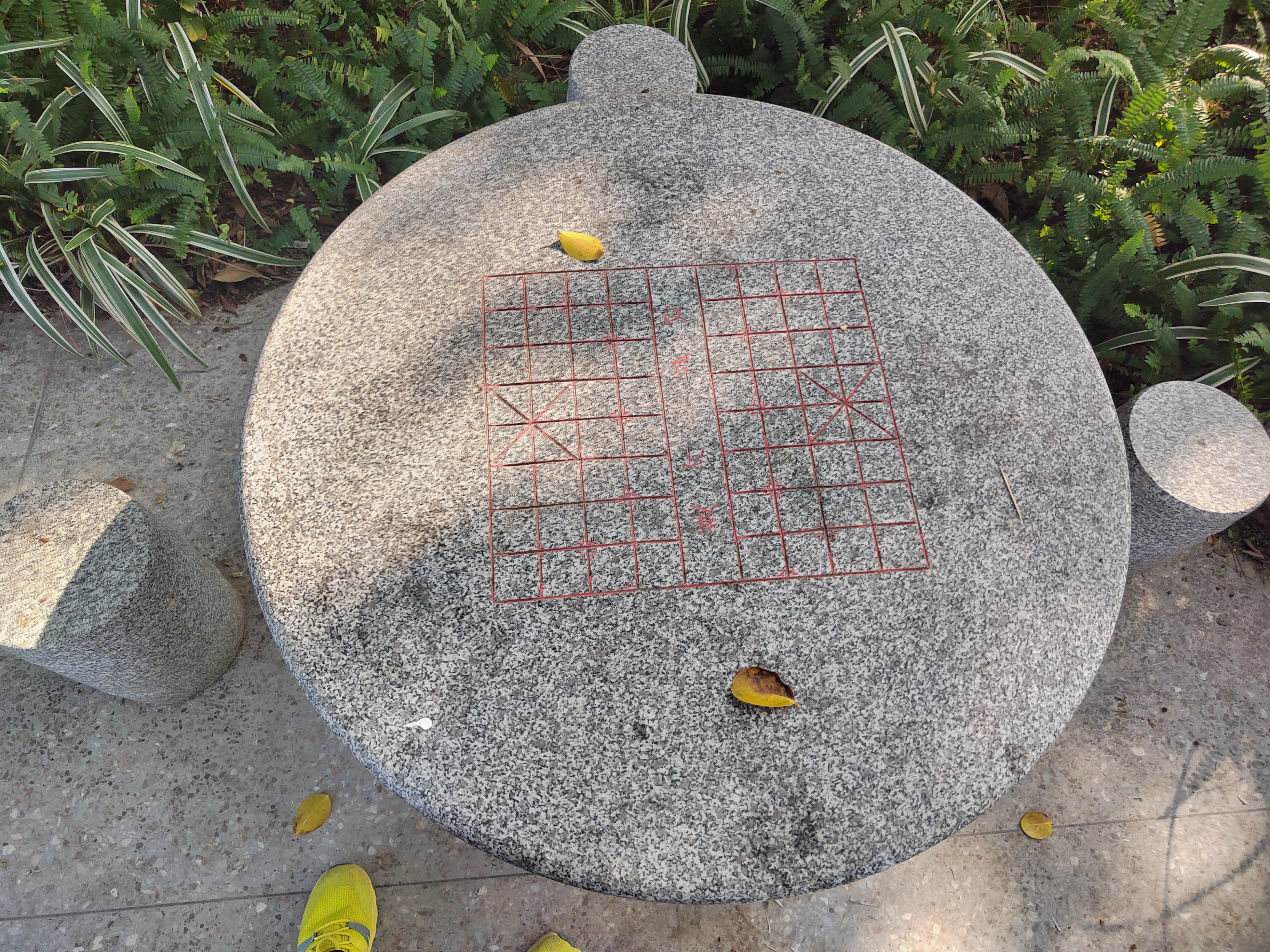 江门新会旅游景点小鸟的天堂,新会小鸟天堂历史记录