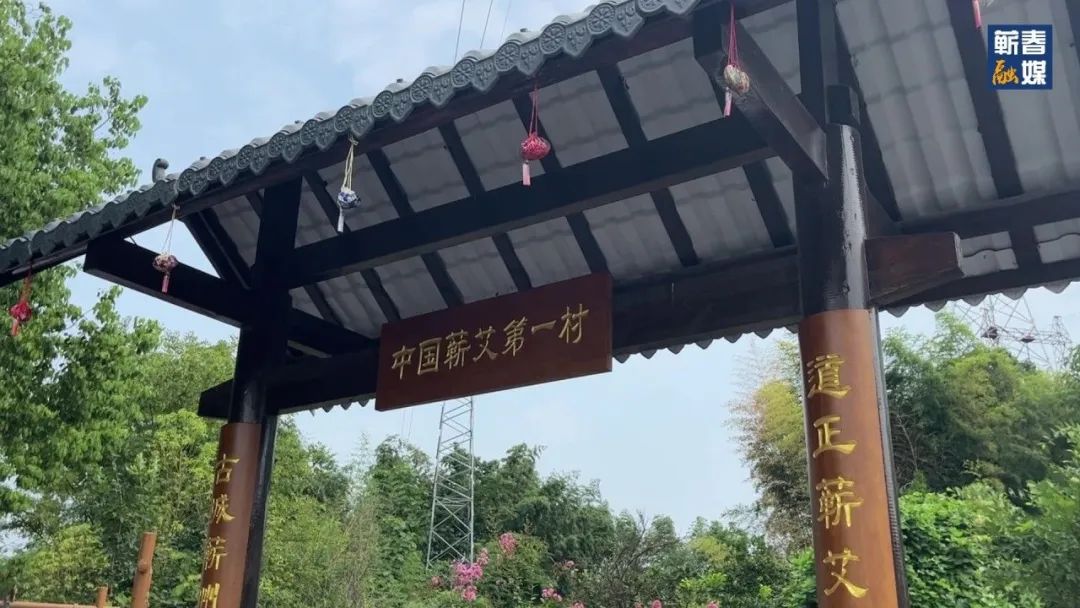 直击现场合集,直击现场拍摄