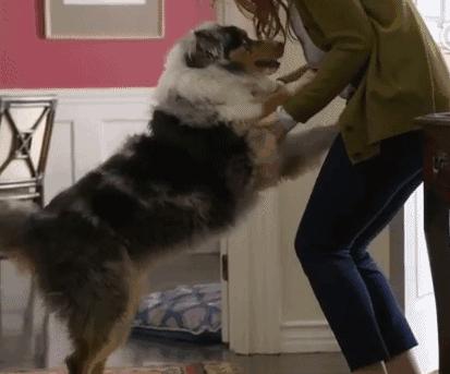 女生养大狗什么心理,养大狗的女生