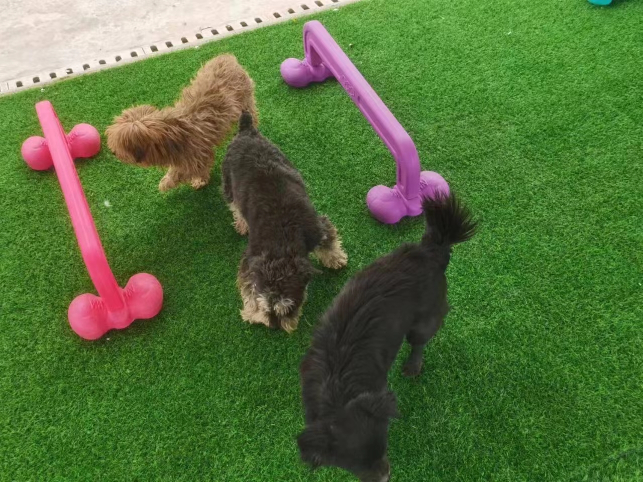 来了!济南市市区首家!