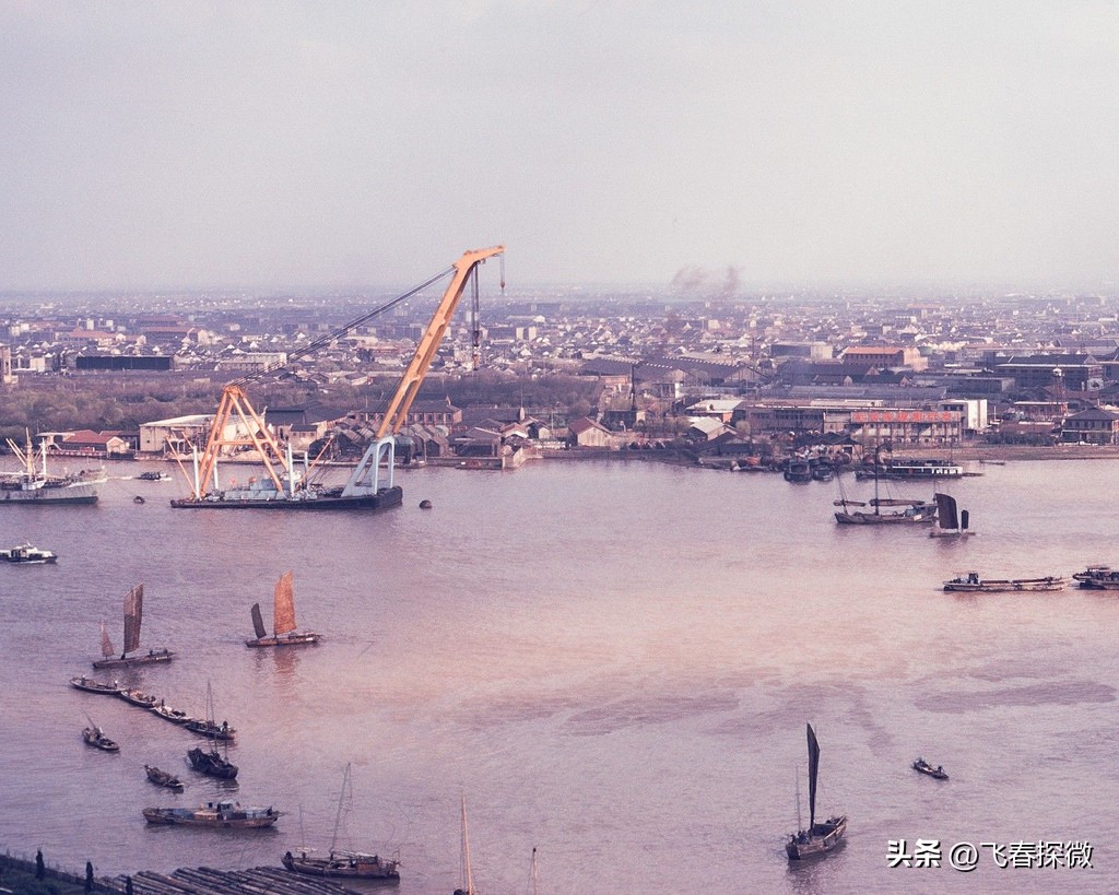 六七十年代用过的假领子,什么款式的假领子好