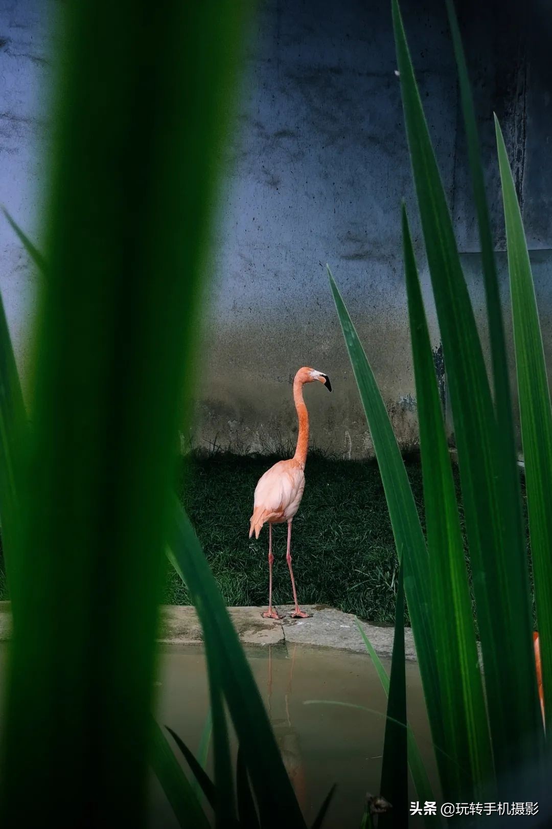 honor手机拍照怎样更清晰,什么设备可以让手机拍照更清晰