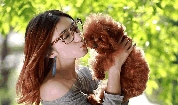 泰迪犬总会“舔人”，很脏吗？别误会，其实它想跟你说这些事