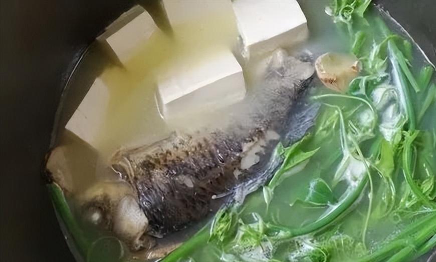 养肝补肾鱼哪种鱼最好,什么鱼最好吃又养肝