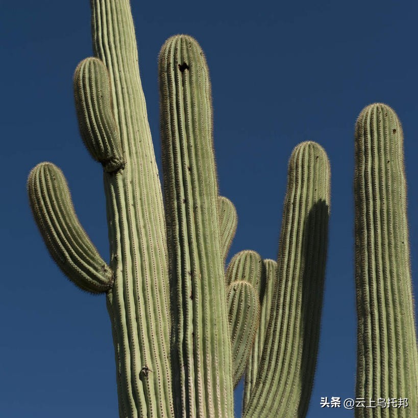 缇庢床浼犵粺鍖诲,鍙や唬缇庢床鎬庝箞娌荤梾
