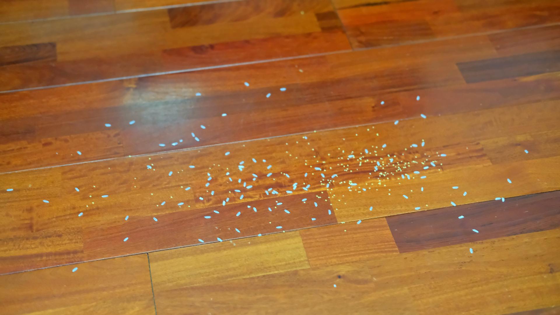 米多全能洗地机怎么样,米多全能水洗机洗地机