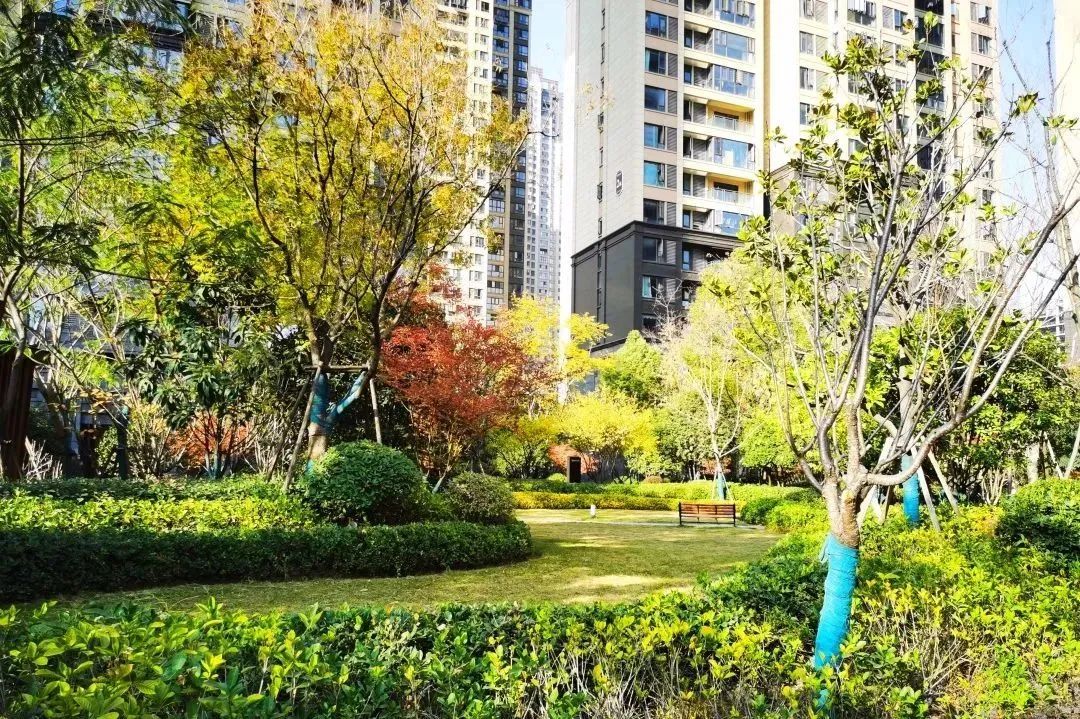 武汉新房出货图片,今年武汉新房交房有哪些地方