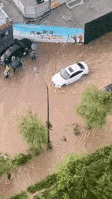 女婿发错信息给丈母娘新闻,女婿错把信息发给岳母怎么回复