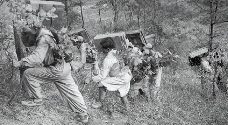 朝鲜战场志愿军反败为胜,朝鲜战争志愿军败绩