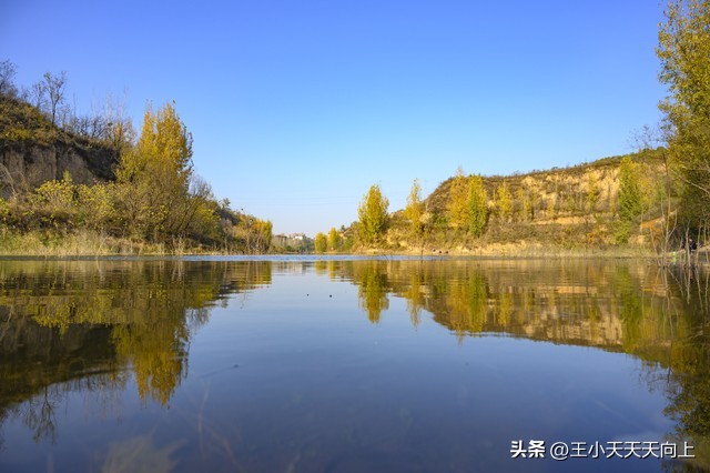 郑州市免费好玩的公园,郑州市区最适合老年人游玩的公园