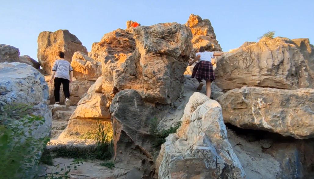郑州最适合踏青赏花爬山的地方,郑州春日赏花好去处推荐