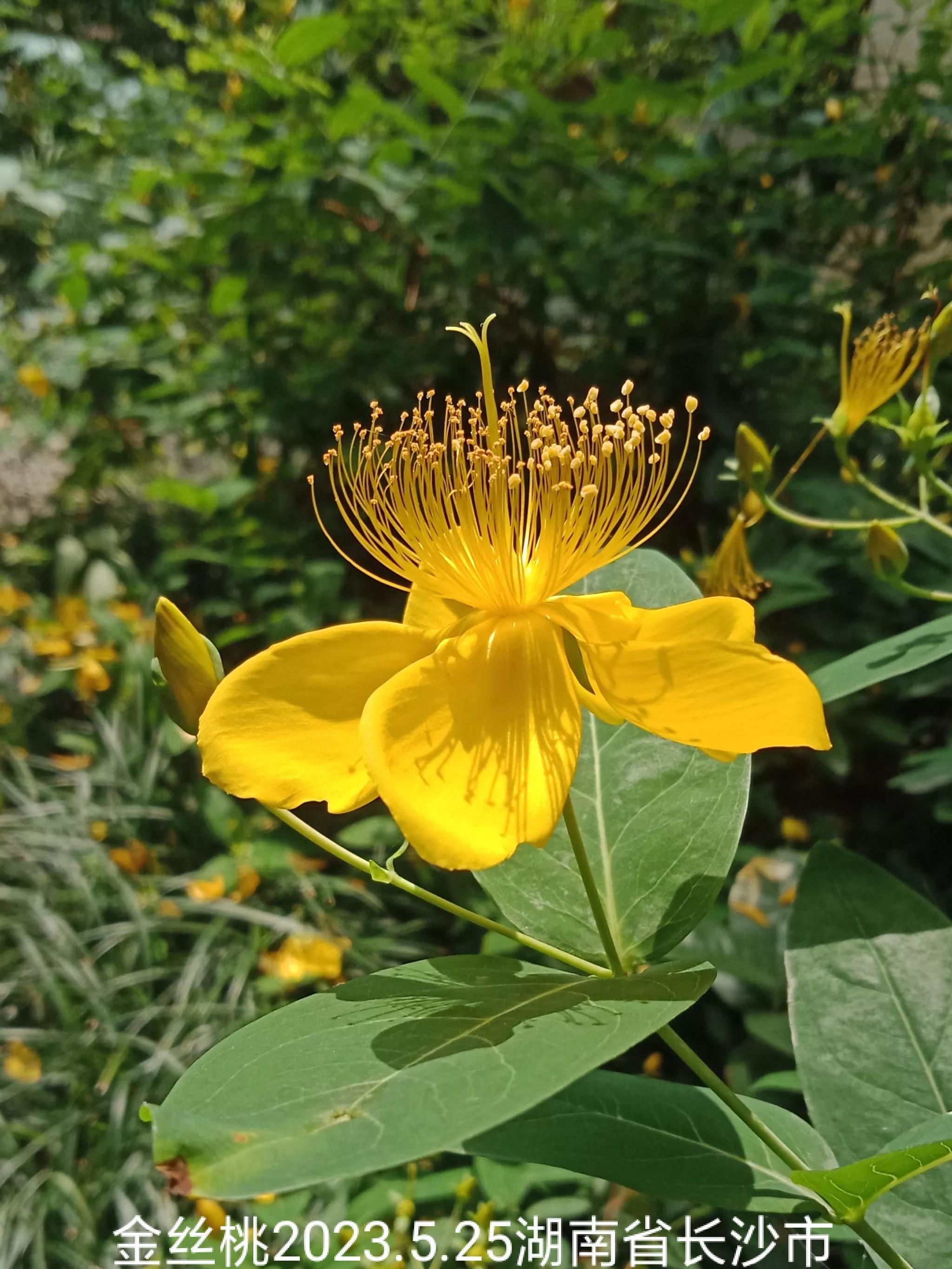 微信群忘保存找不到怎么办,微信群没保存通讯录丢失怎么找回