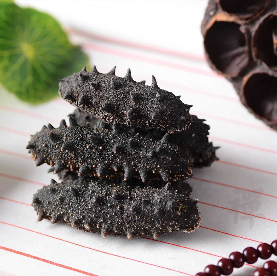 海参营养误区,怎么做活海参有营养又简单