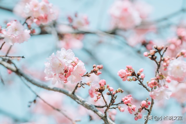 女人这样称呼你说明是真的喜欢你,女生用这六种方式称呼你说明喜欢