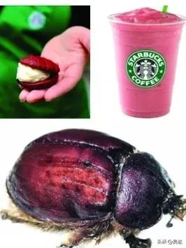 口红是虫子的尸体做的吗,女生口红是虫子尸体提炼的吗