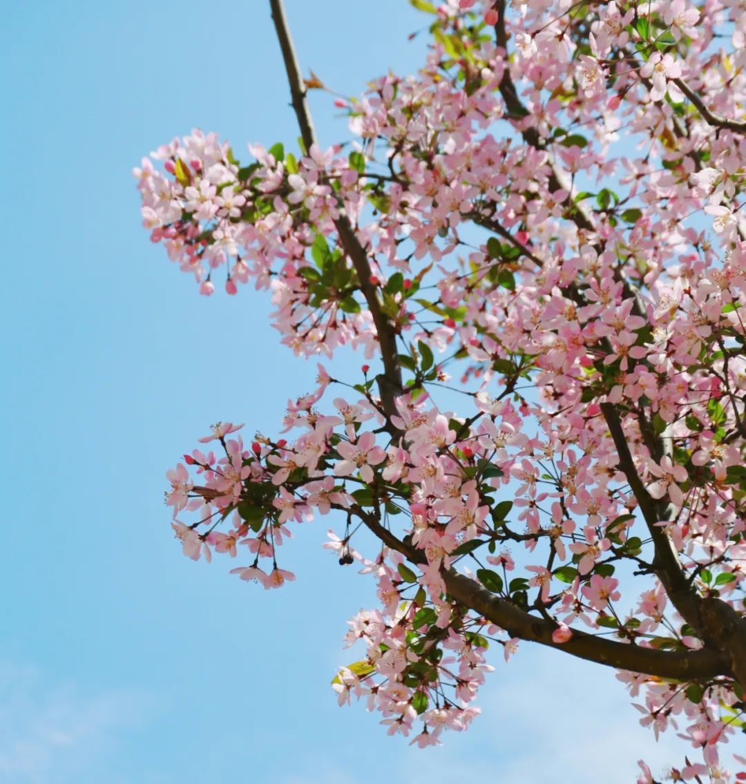 葵花宝典计算机二级考试,计算机二级考试全过程和技巧