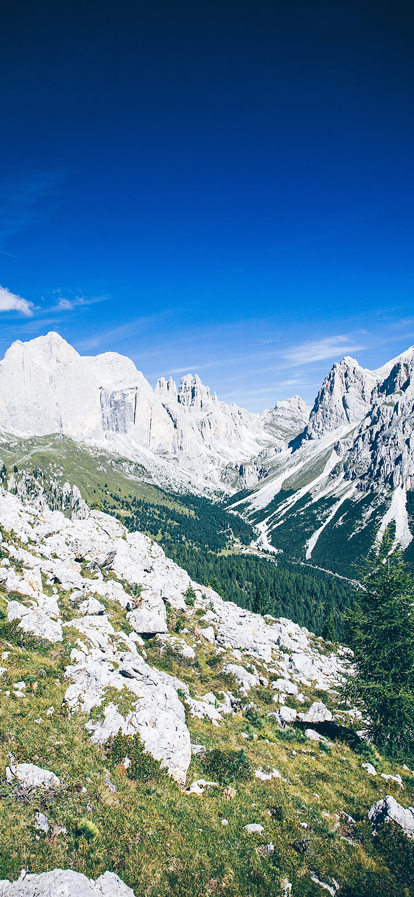 风景壁纸春,春天有百花秋有凉风冬有雪壁纸
