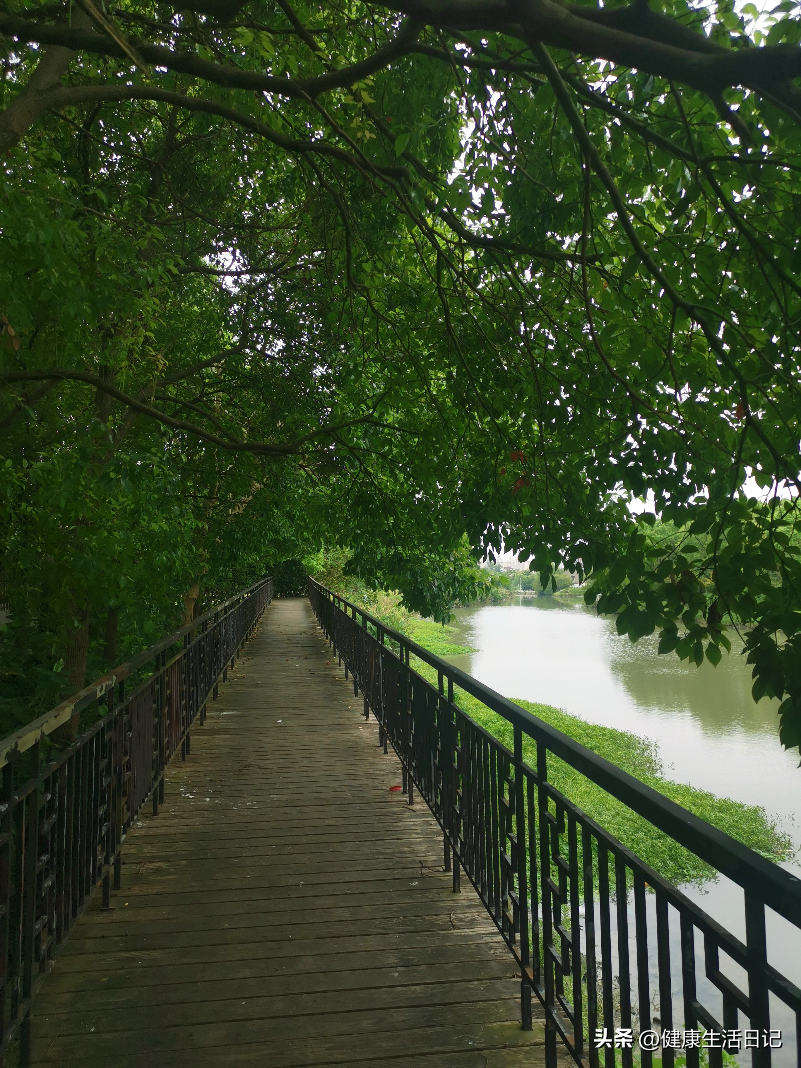 上海三林的公园,上海浦东三林公园在哪里