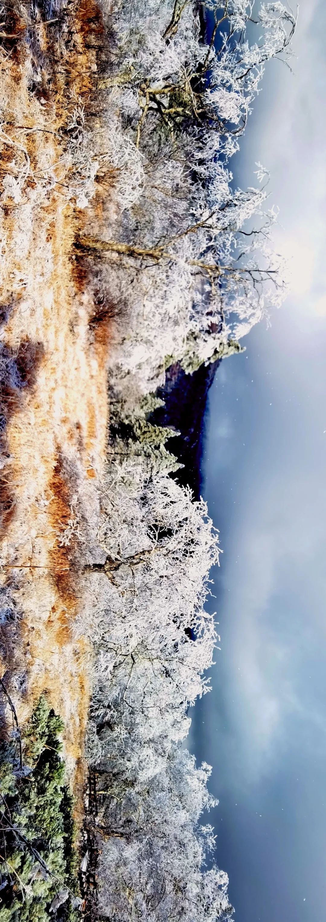 梦幻西游凤凰山,江西凤凰山梦幻影视城