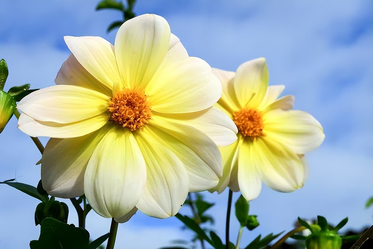 兄弟姐妹相处不和谐怎么办,兄弟姐妹之间相处不好怎么办