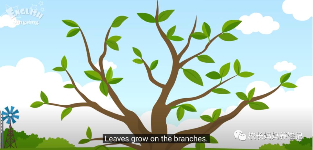 关于春天种植的英文儿歌,英文种植儿歌