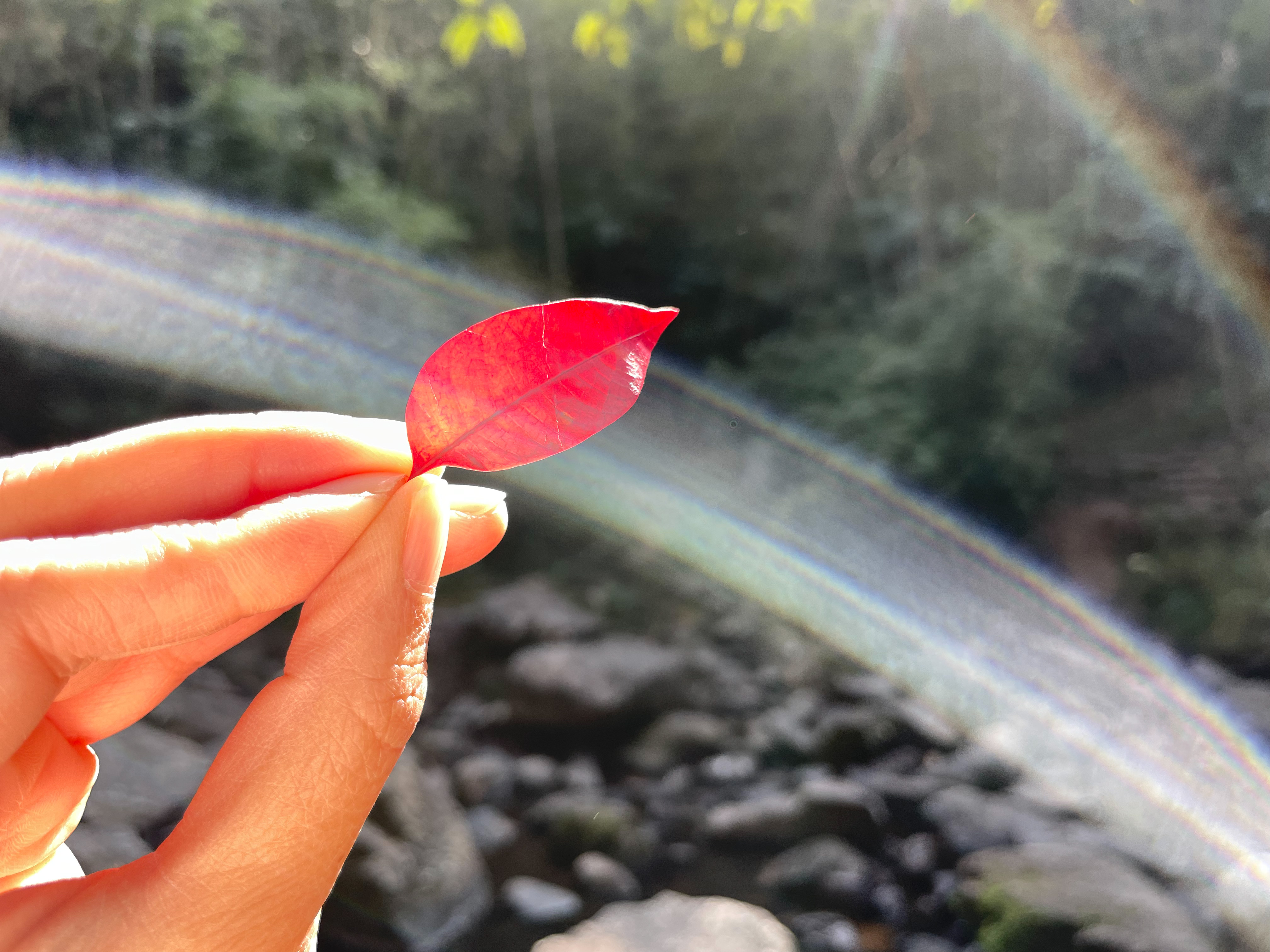 广州南昆山温泉旅游攻略,秋冬季来临广东热门温泉攻略