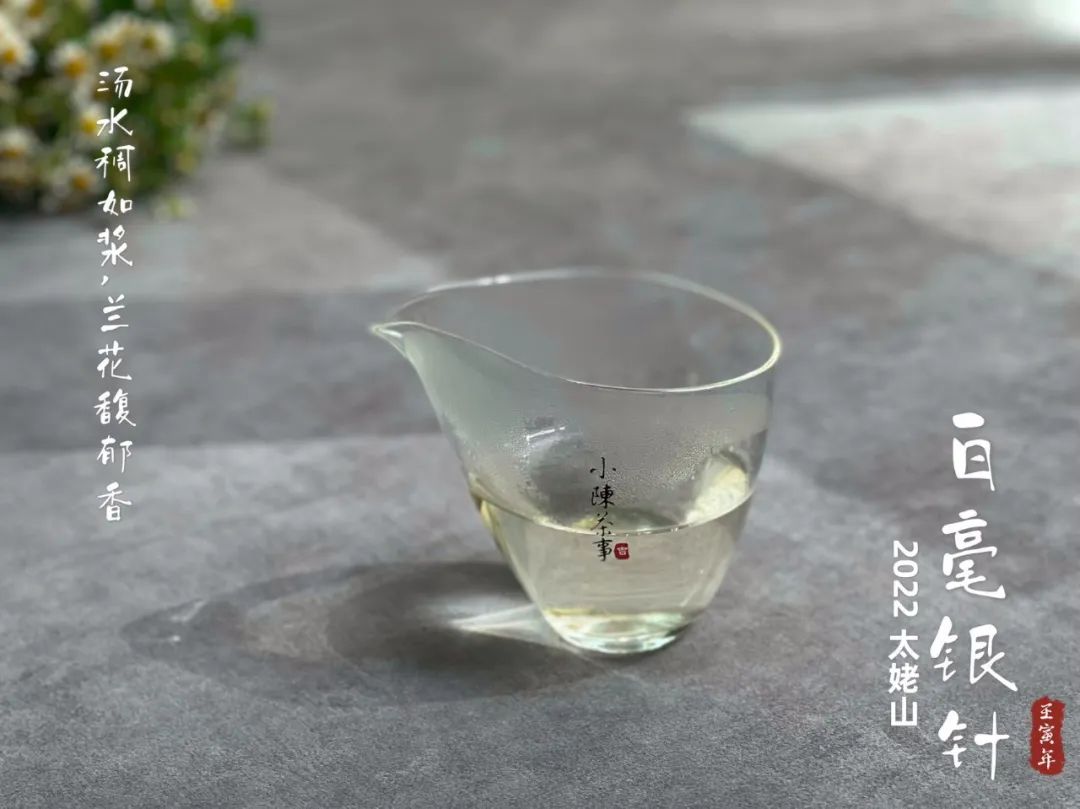 白毫银针最低多少钱真的,白毫银针便宜的能买吗