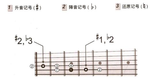 吉他基本乐理知识简谱入门,吉他指法图速记技巧