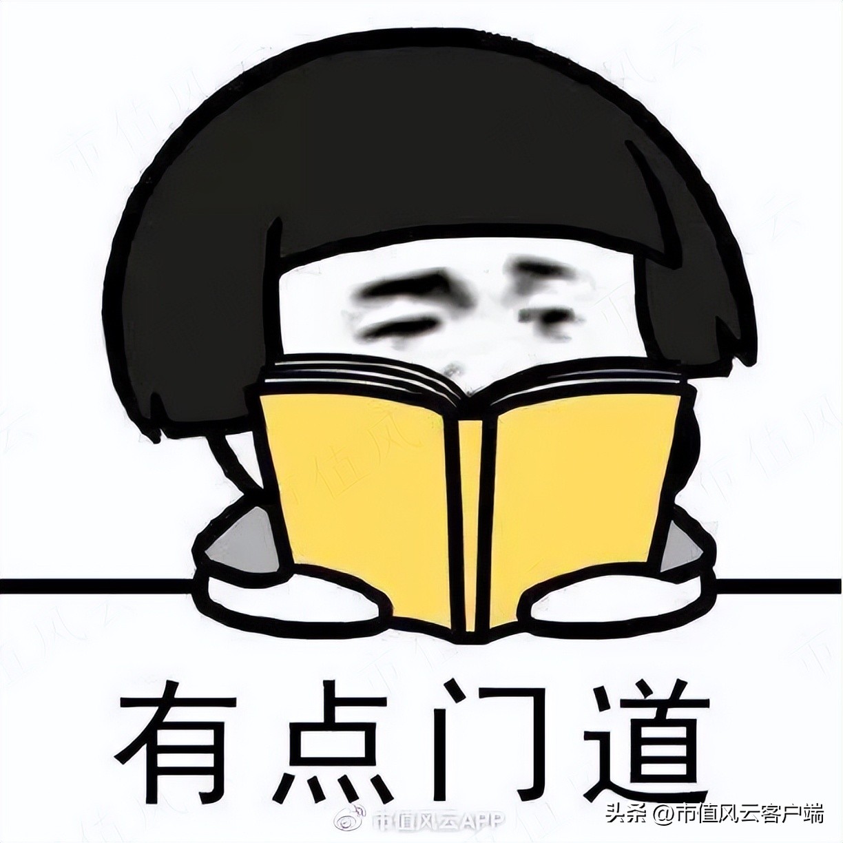 艾美疫苗上市后预计估值 (艾美疫苗营收)