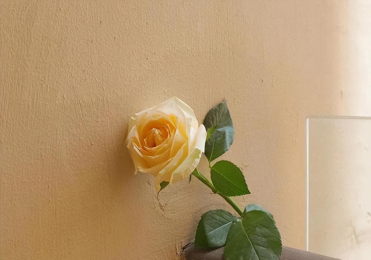 想让女人对你爱不释手,如何让女人对你情不自禁