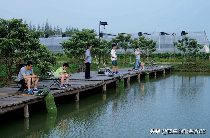 无名河我心中的伊甸园,画出我心中的伊甸园