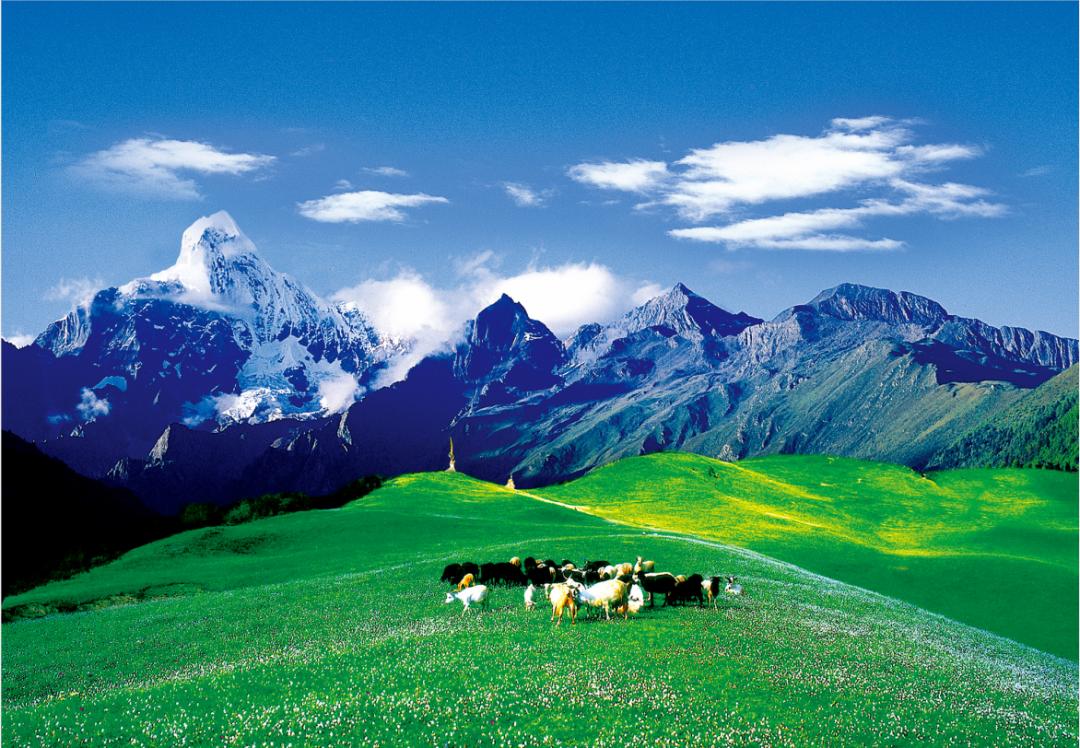 去阿坝州过完了春夏秋冬,阿坝州夏天去还是秋冬去