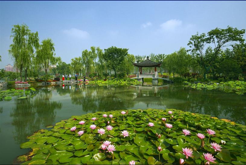 园博园主题公园,园博园废弃公园