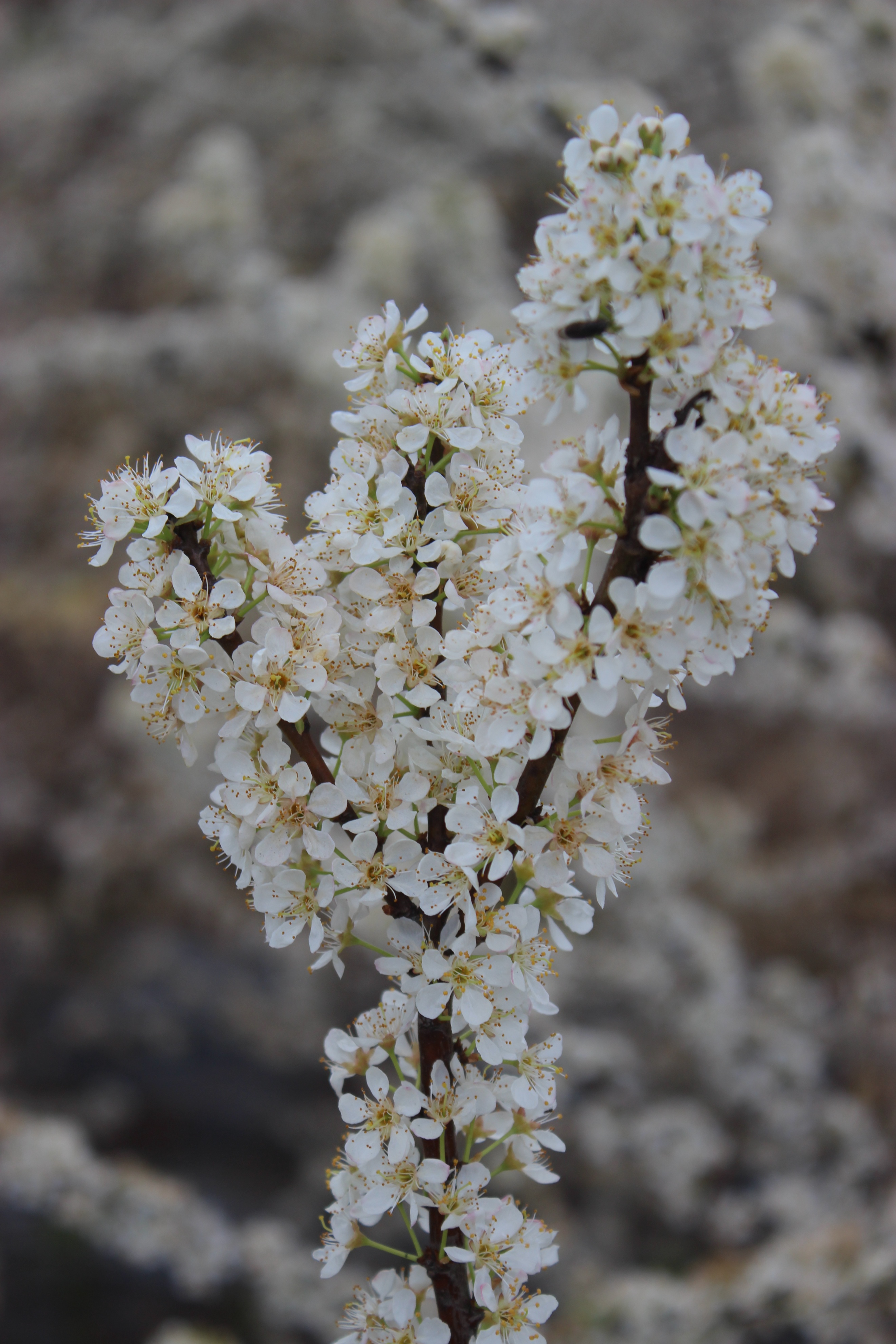 赣州周末出游攻略,春节赣州出发2-3天短途旅游