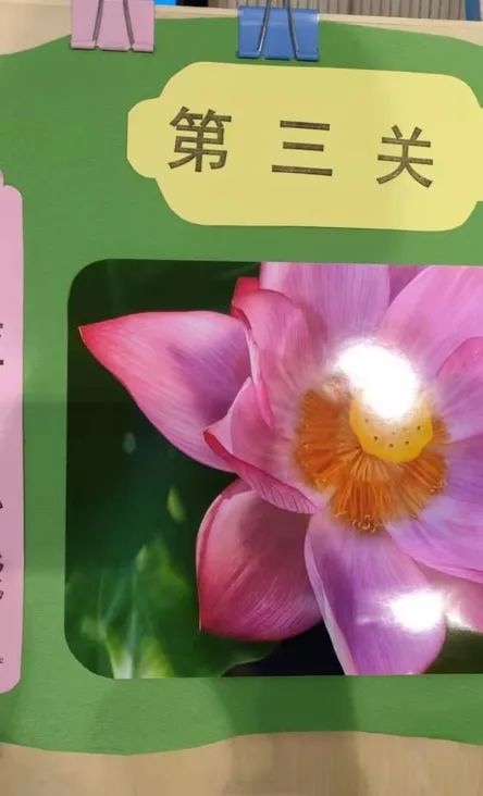 小学关爱学生幸福成长,小学低年级期末无纸测试活动